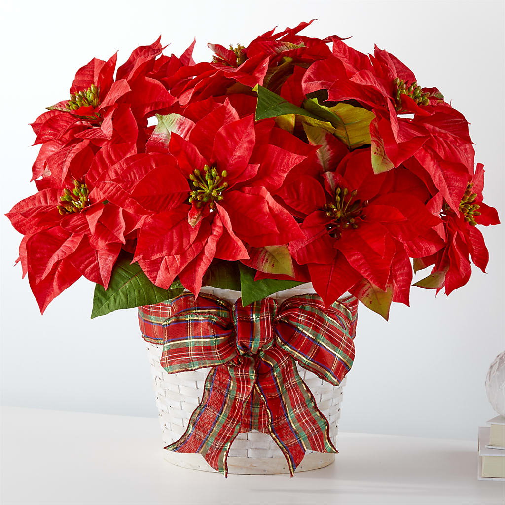 Happiest Holidays Poinsettia – BUZ N' BEE FLORIST GIFT & NURSERY, Clinton LA