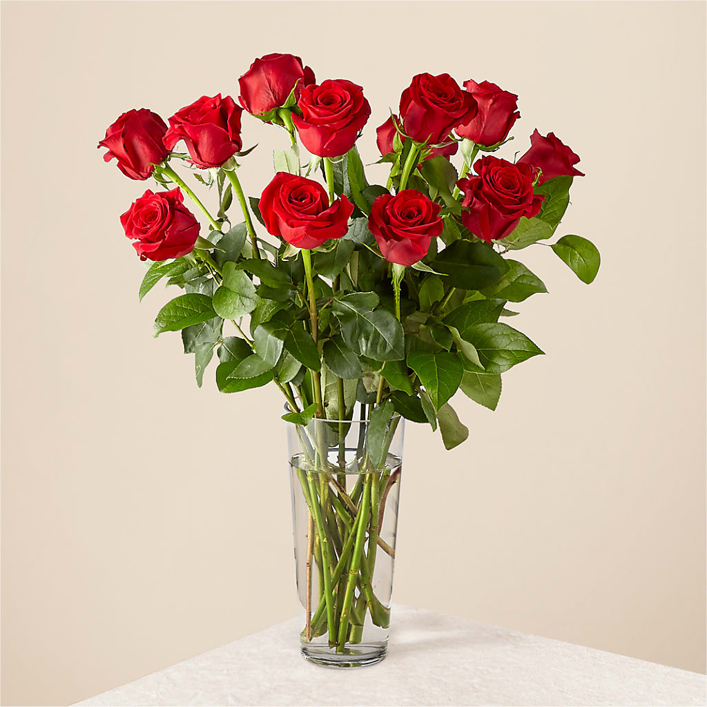 Long Stem Red Rose Bouquet – BUZ N' BEE FLORIST GIFT & NURSERY, Clinton LA