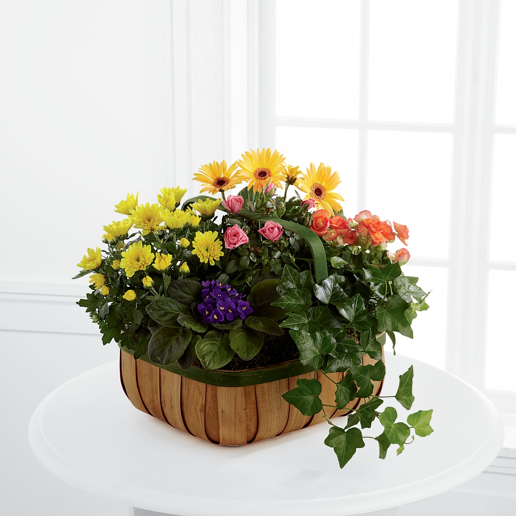 Gentle Blossoms Basket – BUZ N' BEE FLORIST GIFT & NURSERY, Clinton LA