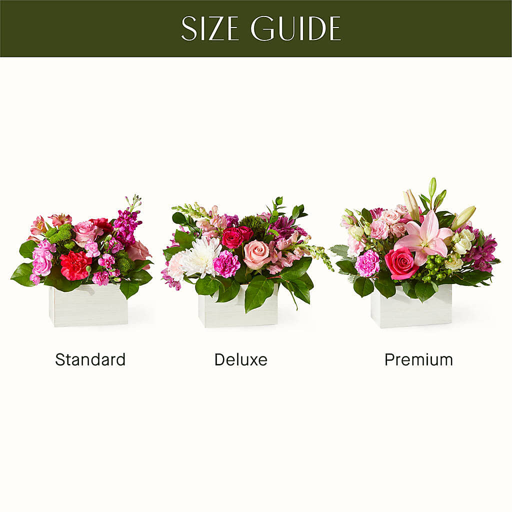 Sweetberry Box – A Florist Original – BUZ N' BEE FLORIST GIFT & NURSERY, Clinton LA