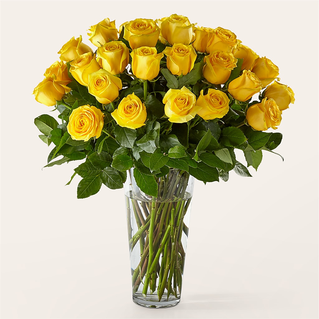 Long Stem Yellow Rose Bouquet – BUZ N' BEE FLORIST GIFT & NURSERY, Clinton LA