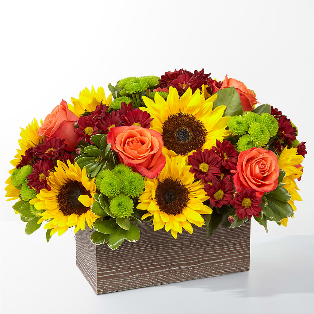 Happy Harvest Garden – BUZ N' BEE FLORIST GIFT & NURSERY, Clinton LA