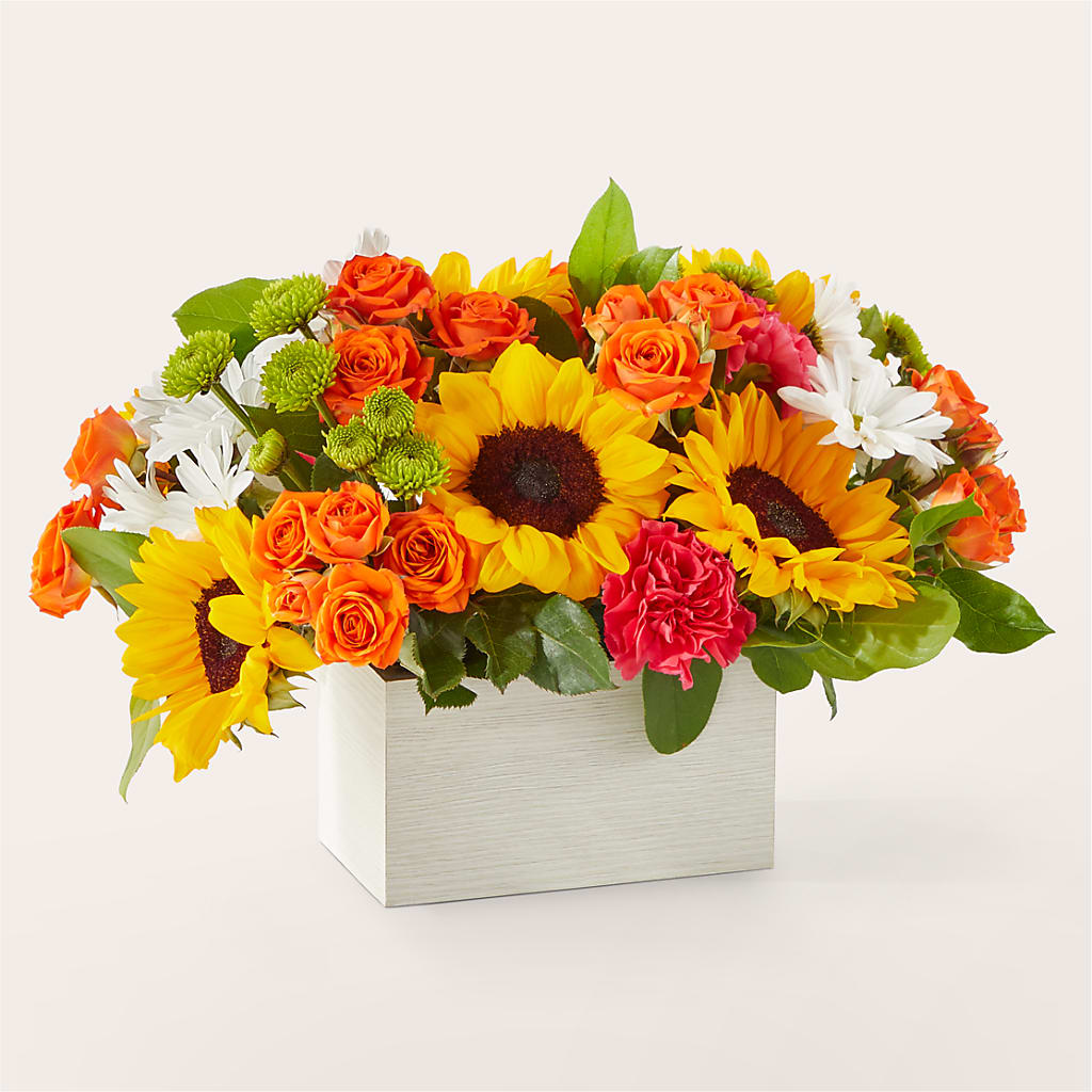 Sun-drenched Blooms Box Bouquet – BUZ N' BEE FLORIST GIFT & NURSERY, Clinton LA