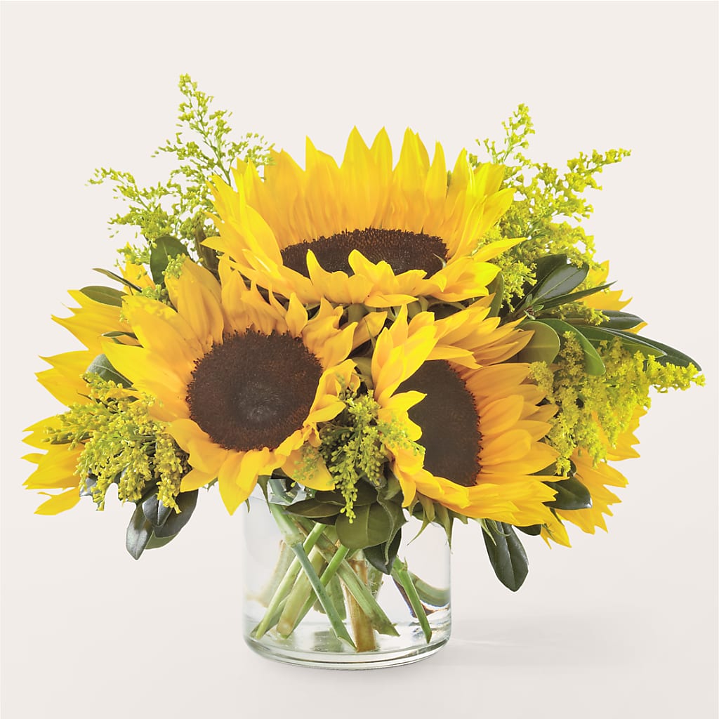 Beaming Sunflower Bouquet – BUZ N' BEE FLORIST GIFT & NURSERY, Clinton LA