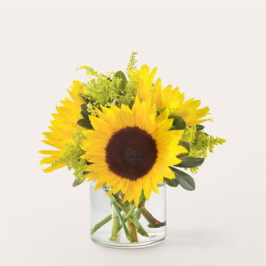 Beaming Sunflower Bouquet – BUZ N' BEE FLORIST GIFT & NURSERY, Clinton LA