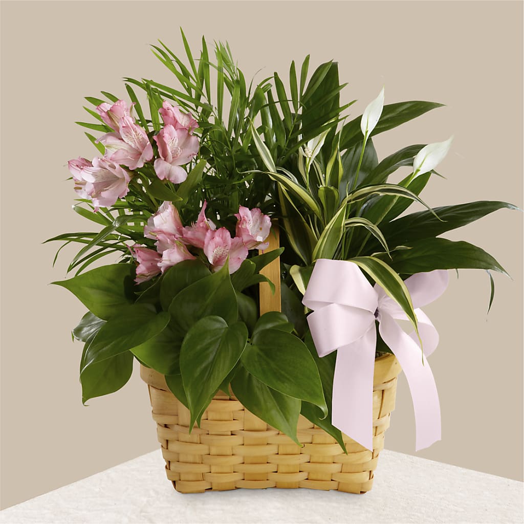 Living Spirit Dishgarden – BUZ N' BEE FLORIST GIFT & NURSERY, Clinton LA