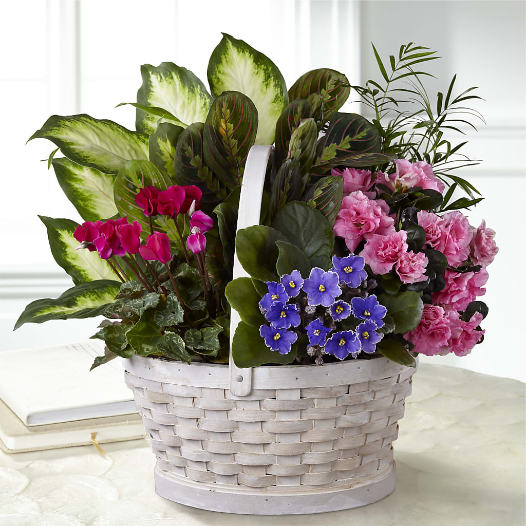Peaceful Garden Planter – BUZ N' BEE FLORIST GIFT & NURSERY, Clinton LA