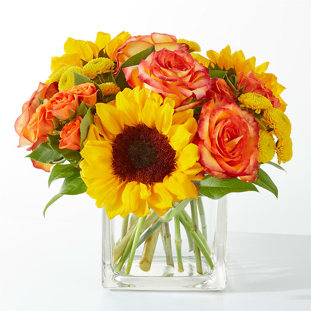 Picnic in the Park Bouquet – BUZ N' BEE FLORIST GIFT & NURSERY, Clinton LA