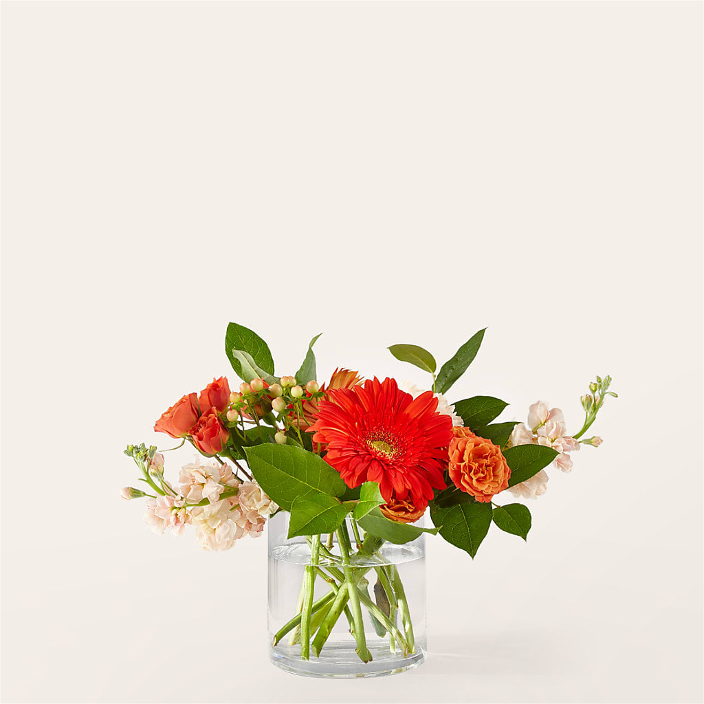 Paloma Please Bouquet – BUZ N' BEE FLORIST GIFT & NURSERY, Clinton LA