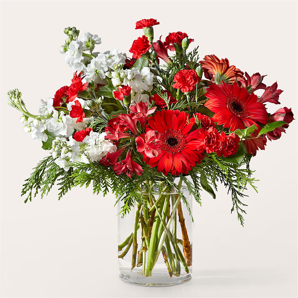 Holidaisy Bouquet – BUZ N' BEE FLORIST GIFT & NURSERY, Clinton LA