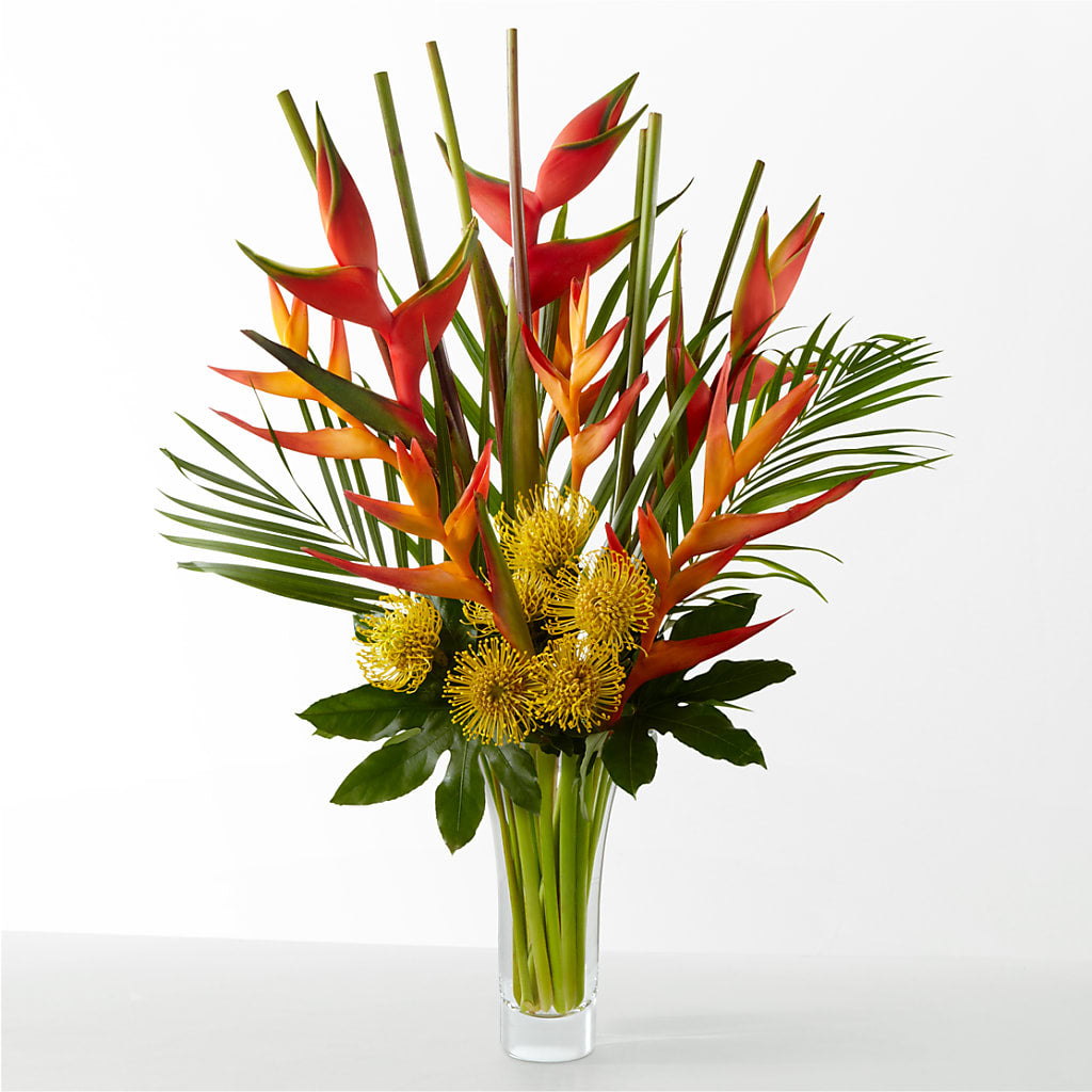 The Drama – BUZ N' BEE FLORIST GIFT & NURSERY, Clinton LA