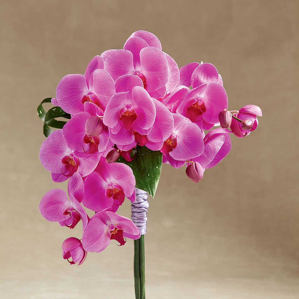 Glorious Bouquet – BUZ N' BEE FLORIST GIFT & NURSERY, Clinton LA