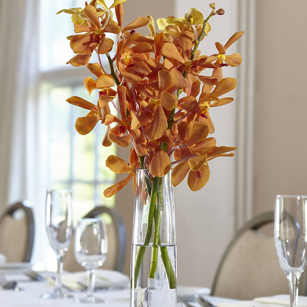 Orange Mokara Bud Vase – BUZ N' BEE FLORIST GIFT & NURSERY, Clinton LA