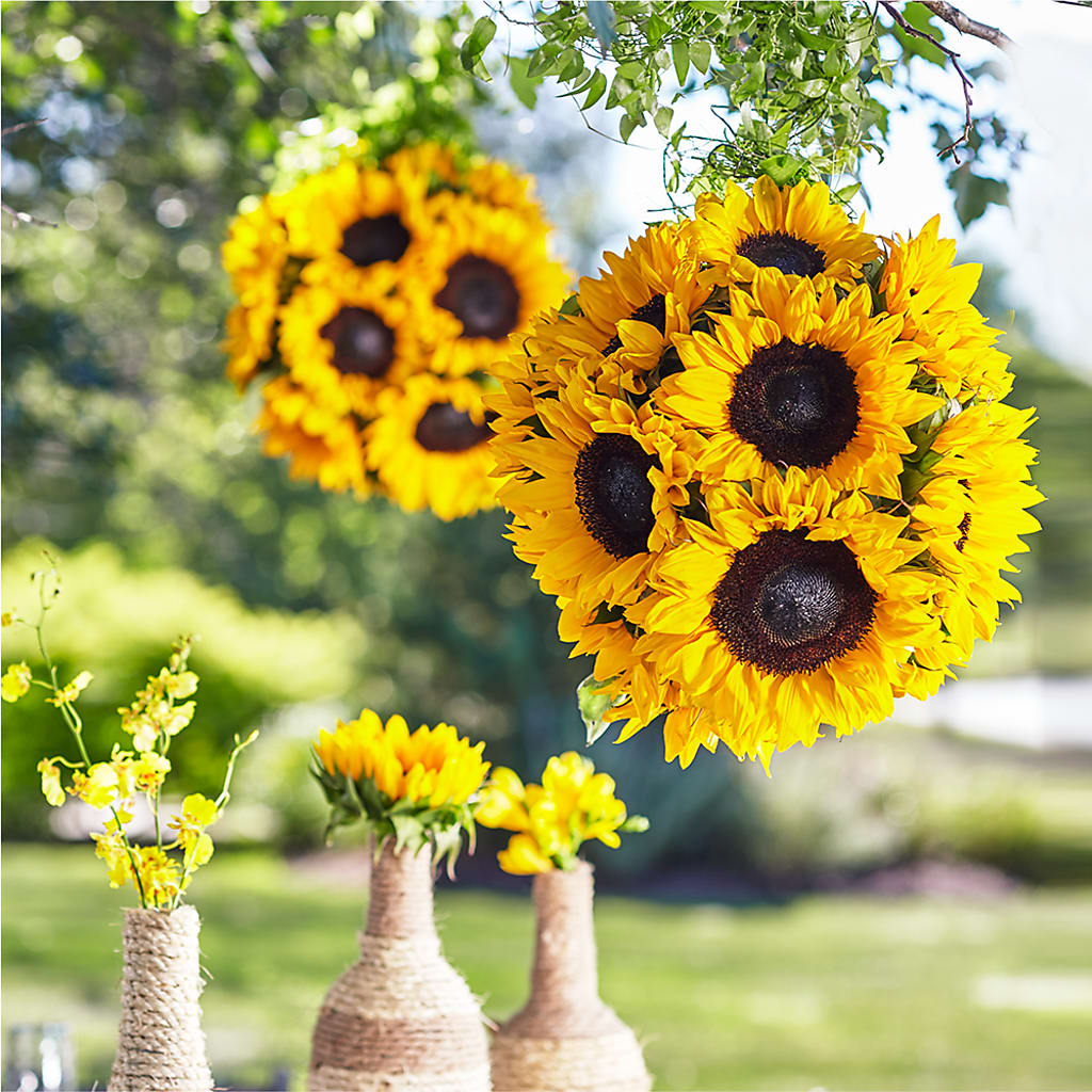 Sublime Garden Hanging Arrangement – BUZ N' BEE FLORIST GIFT & NURSERY, Clinton LA