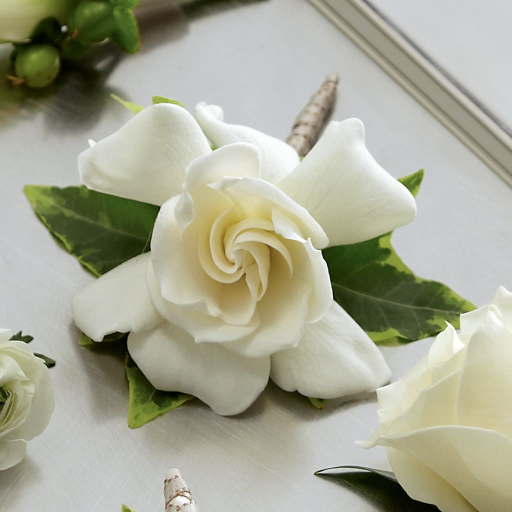 Gardenia Boutonniere – BUZ N' BEE FLORIST GIFT & NURSERY, Clinton LA