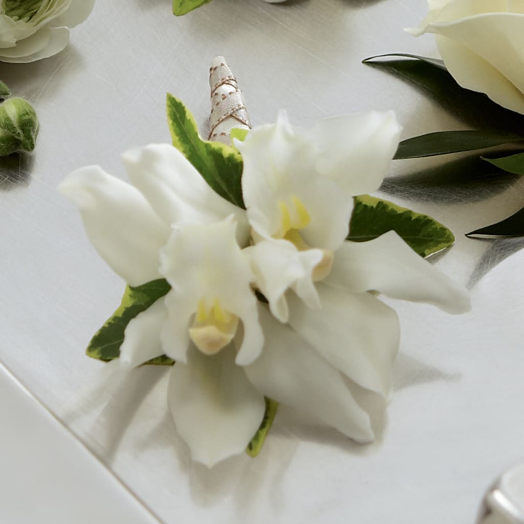 White Mini Cymbidium Boutonniere – BUZ N' BEE FLORIST GIFT & NURSERY, Clinton LA