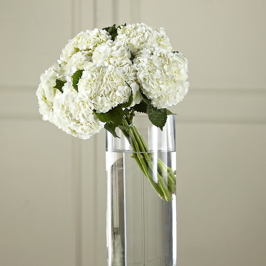 White Hydrangea Hand-Tied Bouquet – BUZ N' BEE FLORIST GIFT & NURSERY, Clinton LA