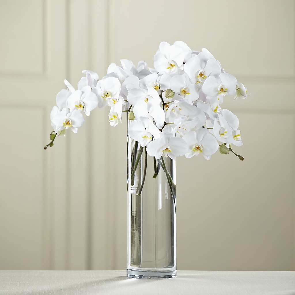 White Phalaenopsis Bouquet – BUZ N' BEE FLORIST GIFT & NURSERY, Clinton LA