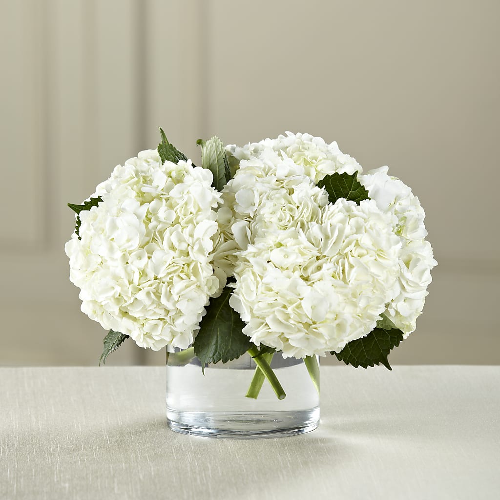 White Hydrangea Bouquet – BUZ N' BEE FLORIST GIFT & NURSERY, Clinton LA