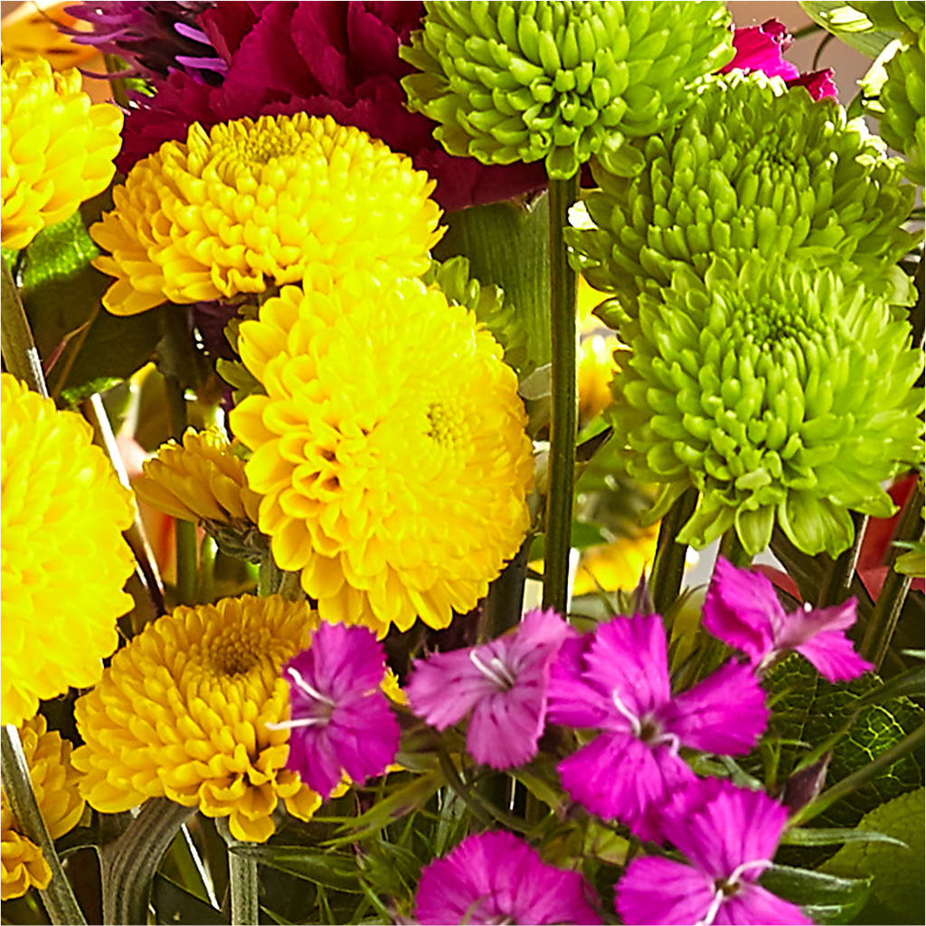 Bold & Bright – A Florist Original – BUZ N' BEE FLORIST GIFT & NURSERY, Clinton LA