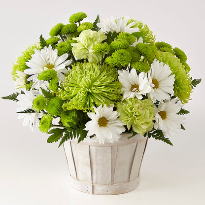 Lucky Charm Basket (Standard) – BUZ N' BEE FLORIST GIFT & NURSERY, Clinton LA