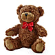 Adorable Plush Bear – BUZ N' BEE FLORIST GIFT & NURSERY, Clinton LA