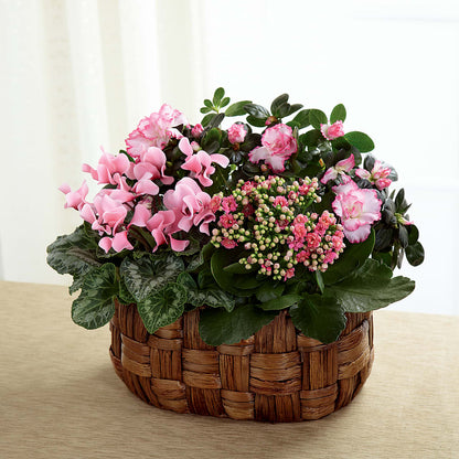 Pink Assortment – BUZ N' BEE FLORIST GIFT & NURSERY, Clinton LA