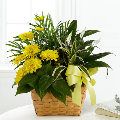 Loving Light Dishgarden – BUZ N' BEE FLORIST GIFT & NURSERY, Clinton LA