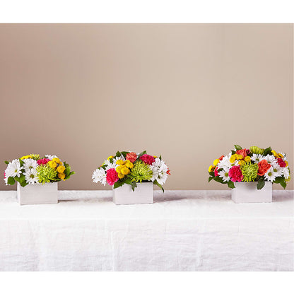 Sorbet Bouquet – BUZ N' BEE FLORIST GIFT & NURSERY, Clinton LA