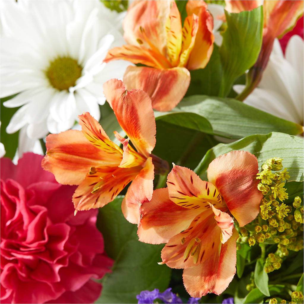 Oopsie Daisy Box Bouquet – BUZ N' BEE FLORIST GIFT & NURSERY, Clinton LA