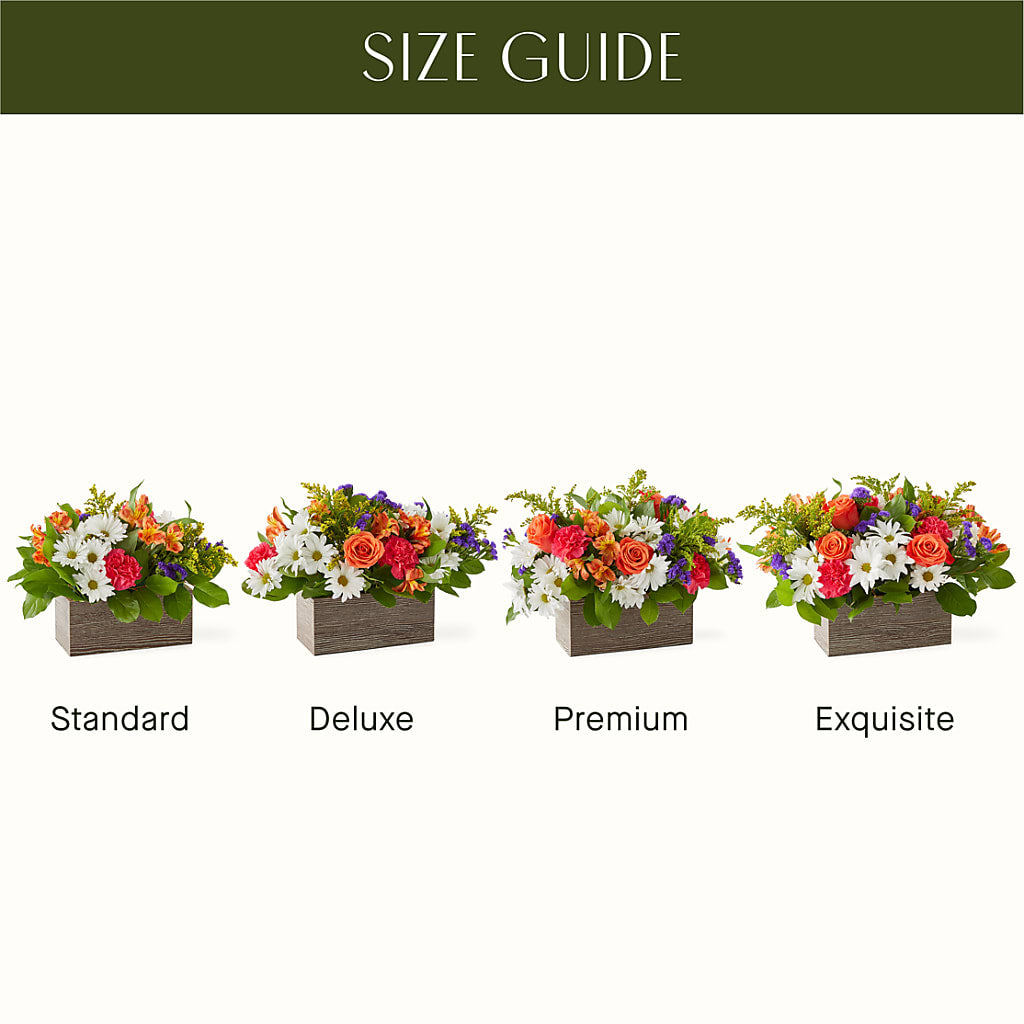 Oopsie Daisy Box Bouquet – BUZ N' BEE FLORIST GIFT & NURSERY, Clinton LA