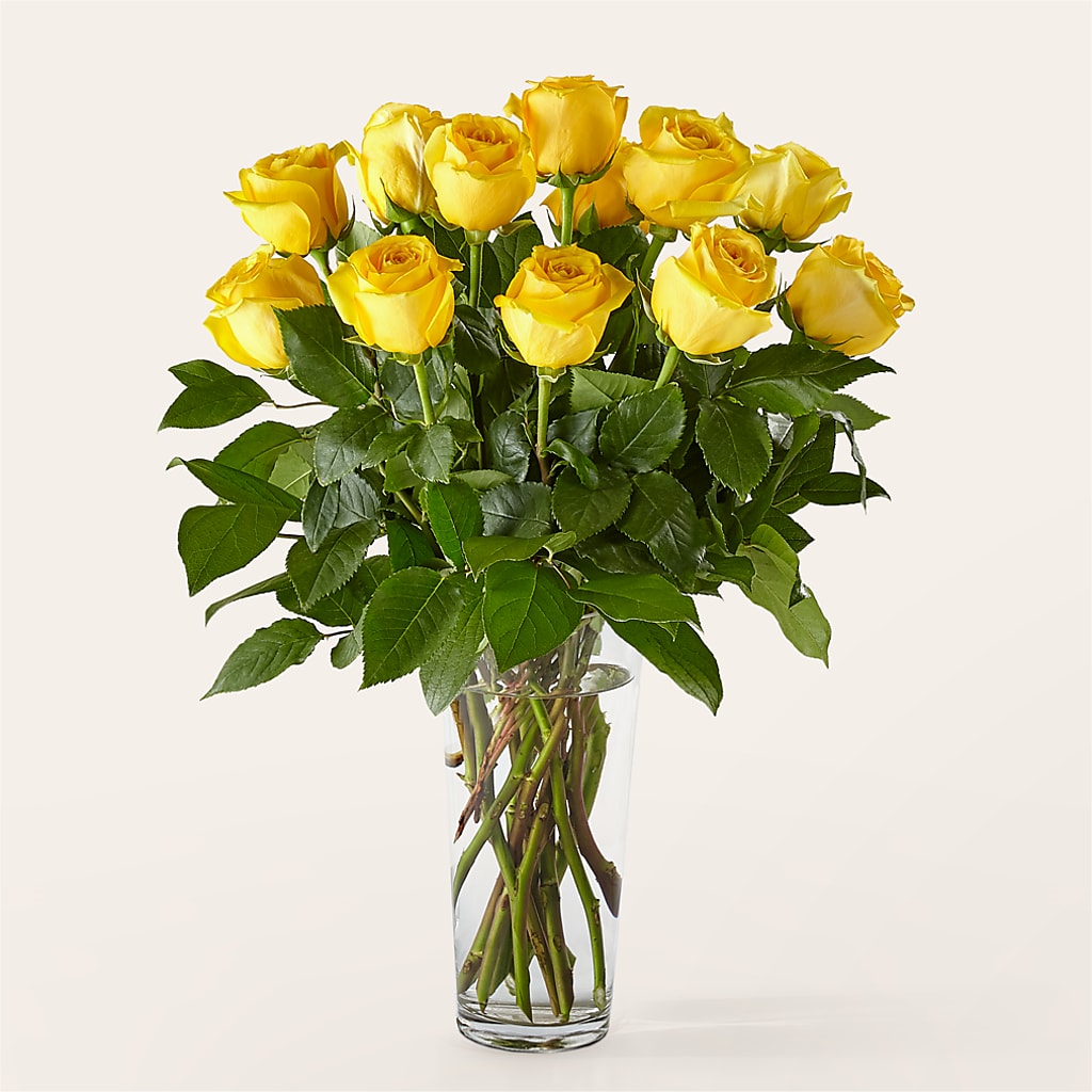 Long Stem Yellow Rose Bouquet – BUZ N' BEE FLORIST GIFT & NURSERY, Clinton LA
