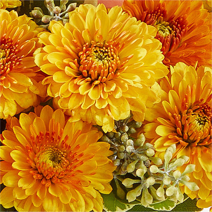 Peachy Pumpkin – BUZ N' BEE FLORIST GIFT & NURSERY, Clinton LA