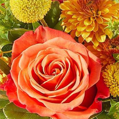 Gourdgeous Pumpkin – BUZ N' BEE FLORIST GIFT & NURSERY, Clinton LA
