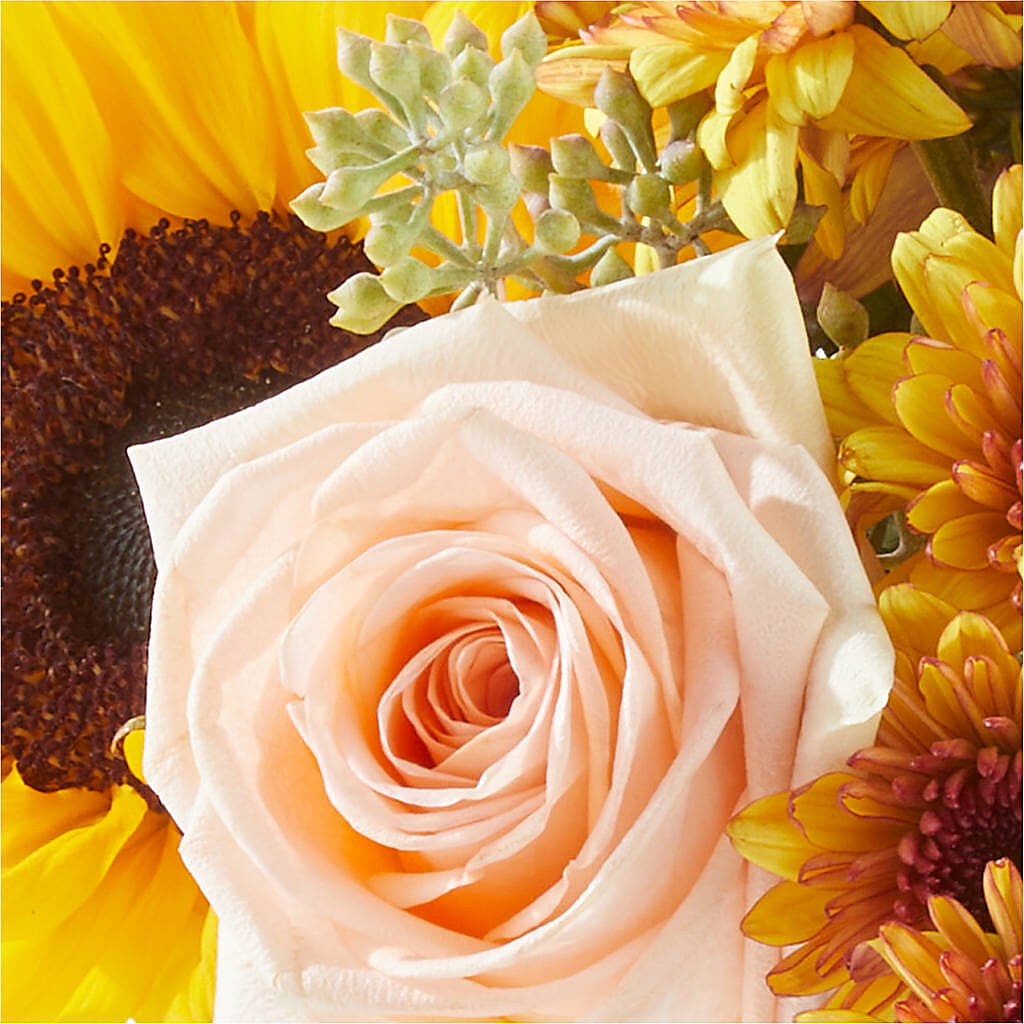 Pumpkin to Talk About Bouquet – BUZ N' BEE FLORIST GIFT & NURSERY, Clinton LA