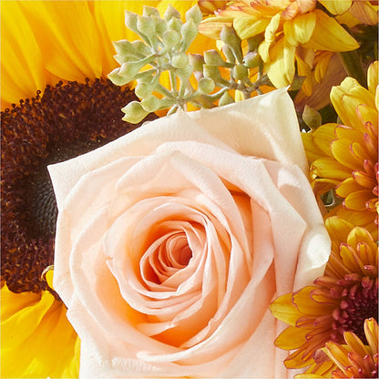 Pumpkin to Talk About Bouquet – BUZ N' BEE FLORIST GIFT & NURSERY, Clinton LA