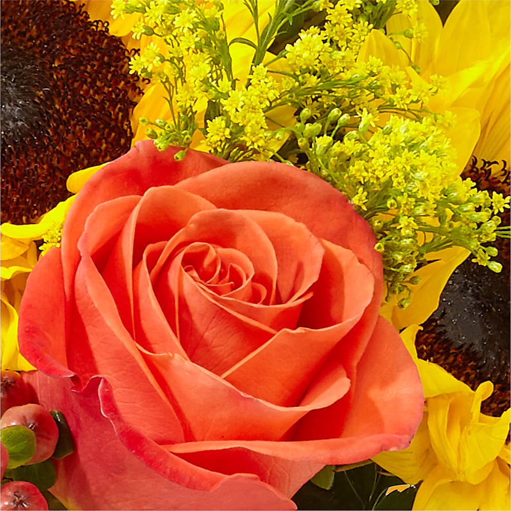Pick of the Patch Pumpkin Bouquet – BUZ N' BEE FLORIST GIFT & NURSERY, Clinton LA