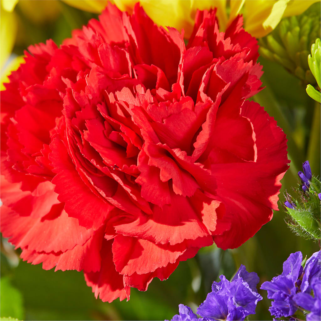 Brighter Days Bouquet – BUZ N' BEE FLORIST GIFT & NURSERY, Clinton LA