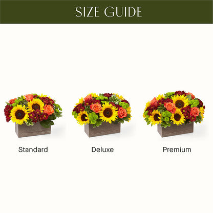 Happy Harvest Garden – BUZ N' BEE FLORIST GIFT & NURSERY, Clinton LA