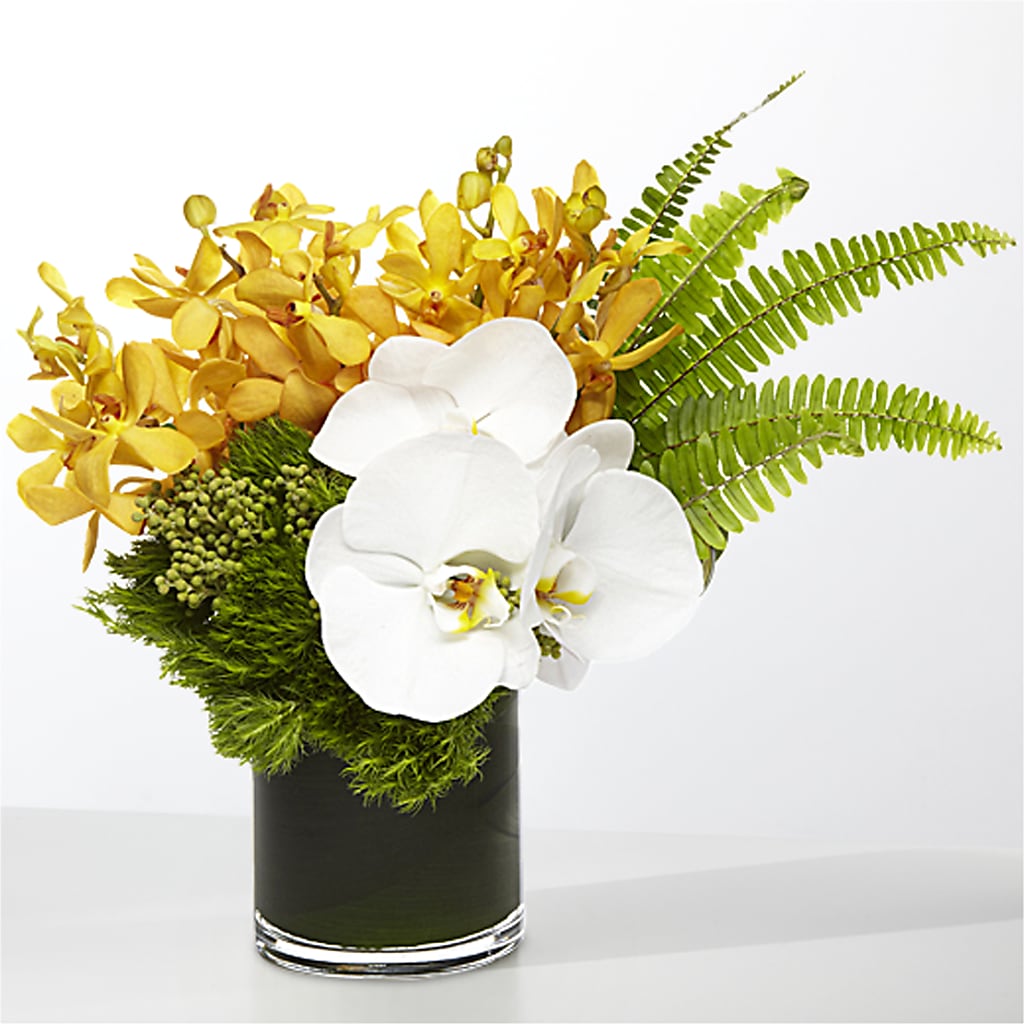 The Tropics – BUZ N' BEE FLORIST GIFT & NURSERY, Clinton LA