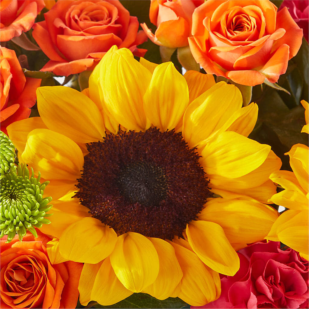 Sun-drenched Blooms Box Bouquet – BUZ N' BEE FLORIST GIFT & NURSERY, Clinton LA