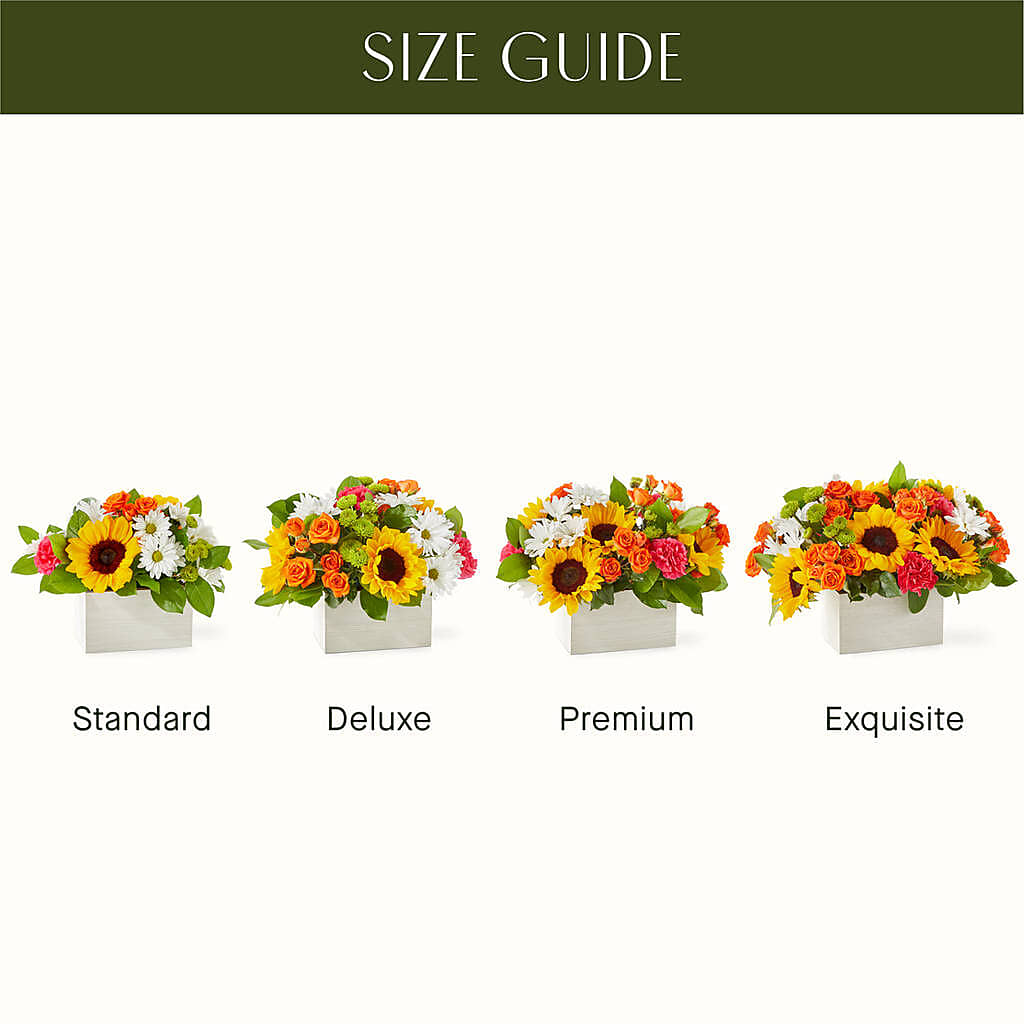 Sun-drenched Blooms Box Bouquet – BUZ N' BEE FLORIST GIFT & NURSERY, Clinton LA