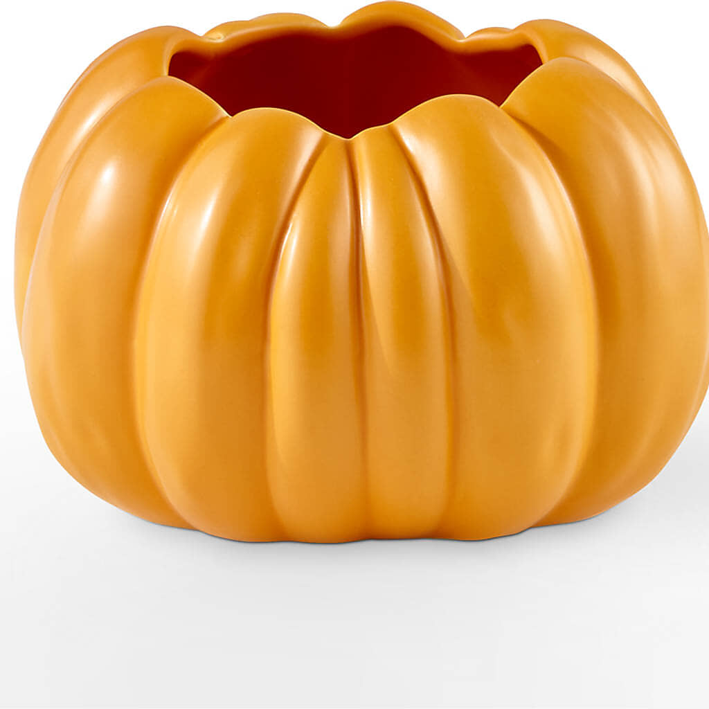 Golden Gourd Pumpkin Bouquet – BUZ N' BEE FLORIST GIFT & NURSERY, Clinton LA