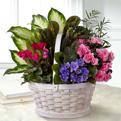Peaceful Garden Planter – BUZ N' BEE FLORIST GIFT & NURSERY, Clinton LA