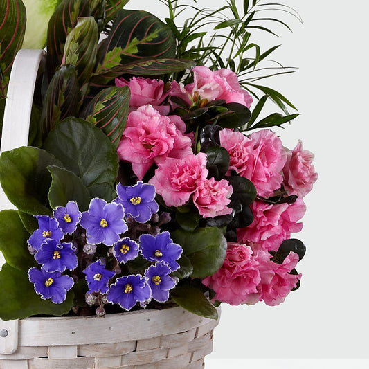 Peaceful Garden Planter – BUZ N' BEE FLORIST GIFT & NURSERY, Clinton LA
