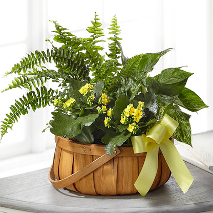 Always Dear Dishgarden – BUZ N' BEE FLORIST GIFT & NURSERY, Clinton LA