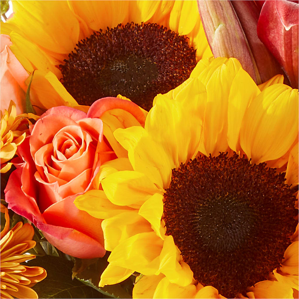 Acorn Lane Bouquet – BUZ N' BEE FLORIST GIFT & NURSERY, Clinton LA