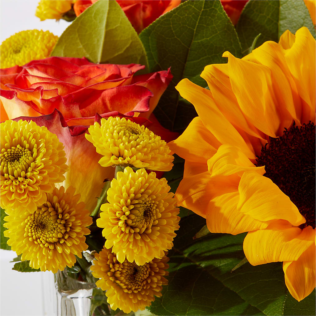Picnic in the Park Bouquet – BUZ N' BEE FLORIST GIFT & NURSERY, Clinton LA