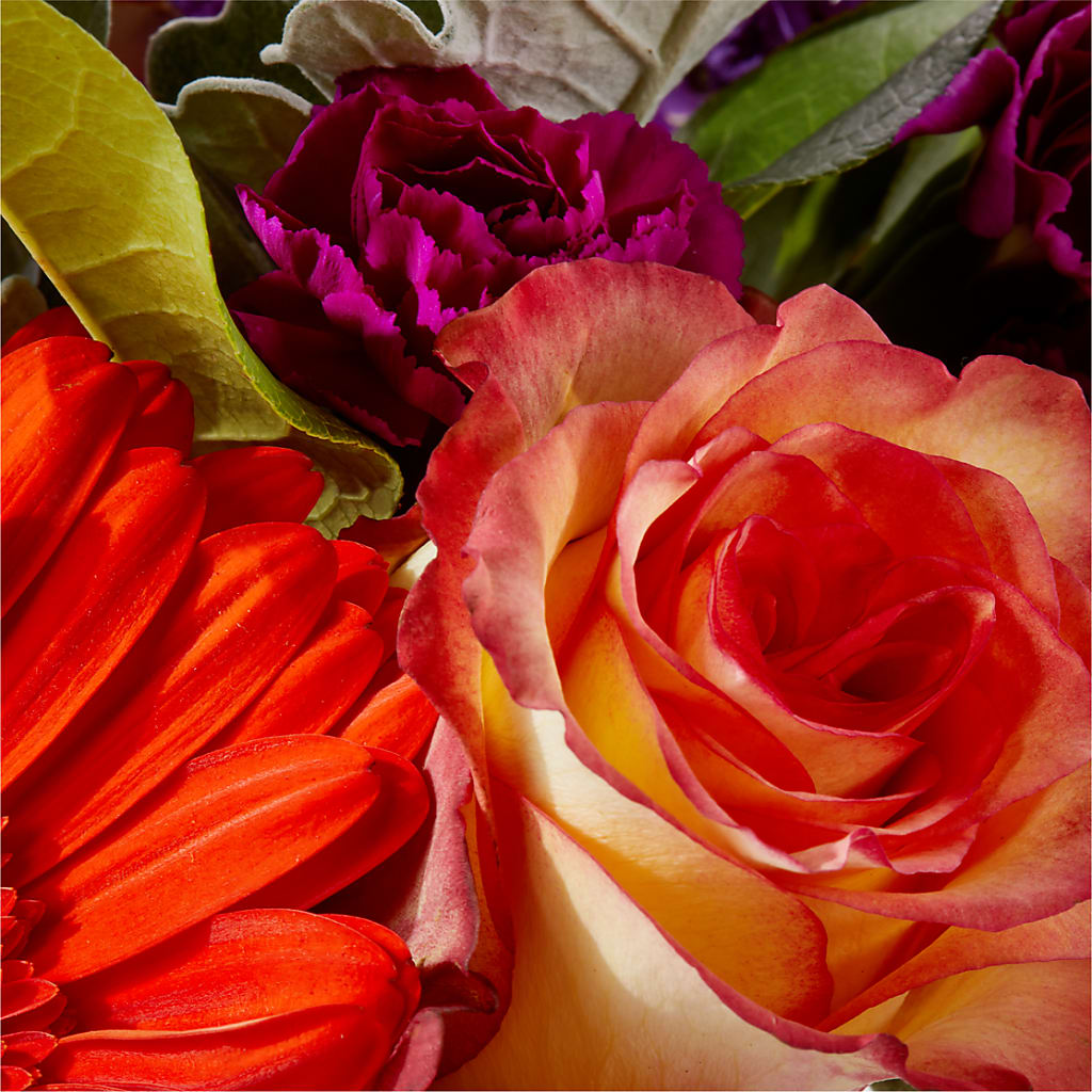 Sangria Bouquet – BUZ N' BEE FLORIST GIFT & NURSERY, Clinton LA