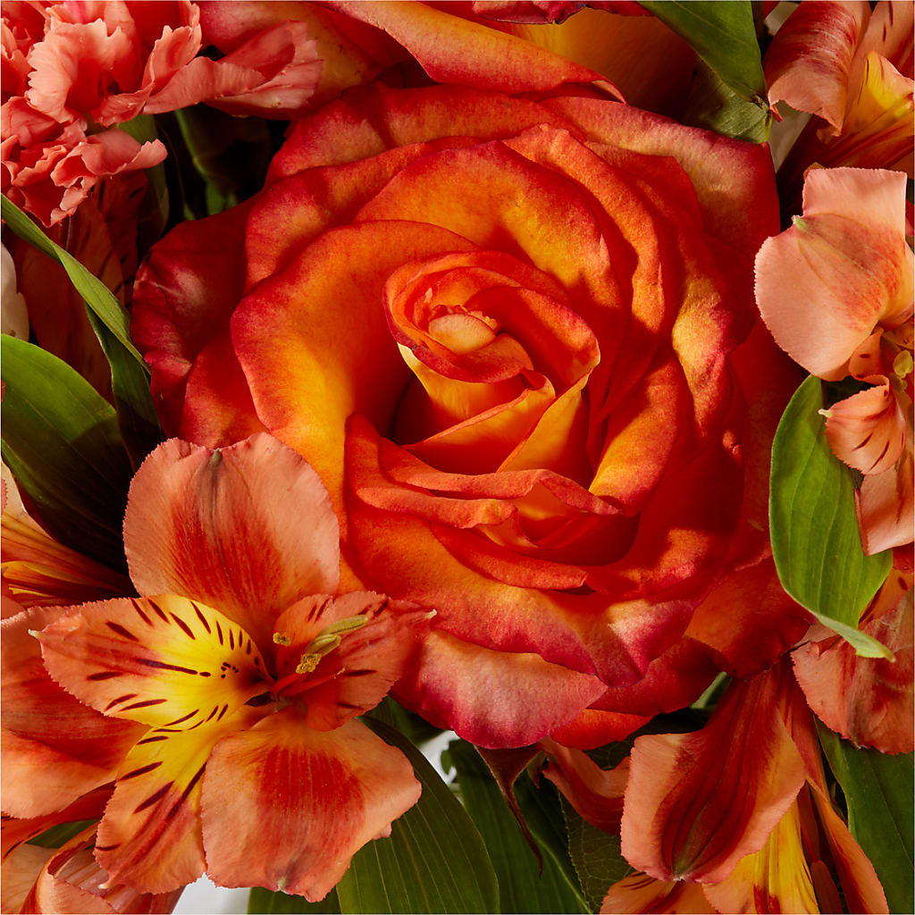 Apricot Glow Bouquet – BUZ N' BEE FLORIST GIFT & NURSERY, Clinton LA